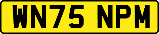 WN75NPM