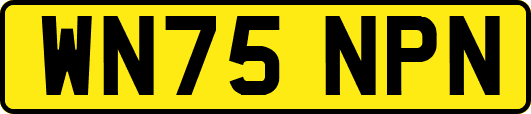 WN75NPN