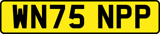 WN75NPP