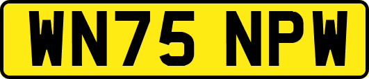 WN75NPW