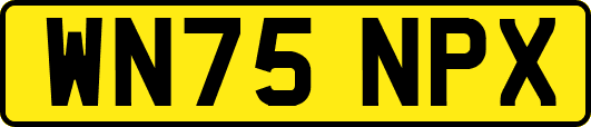 WN75NPX