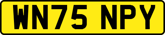 WN75NPY