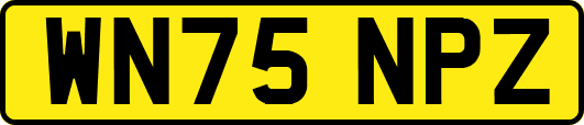 WN75NPZ