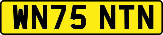 WN75NTN