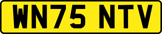 WN75NTV