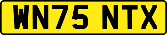 WN75NTX