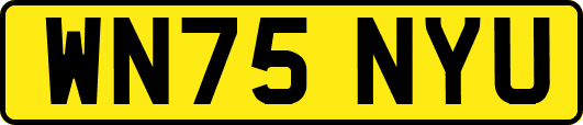 WN75NYU