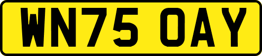 WN75OAY
