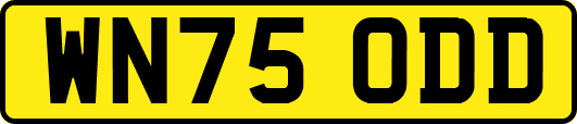 WN75ODD