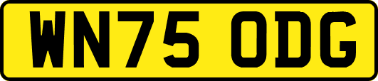 WN75ODG