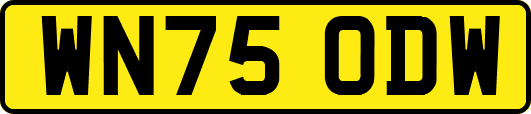 WN75ODW
