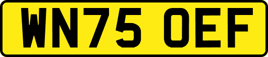 WN75OEF