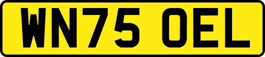 WN75OEL