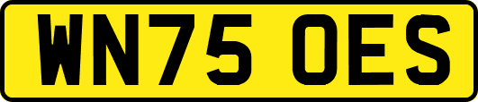 WN75OES