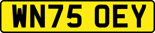 WN75OEY