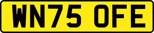 WN75OFE