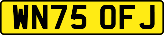 WN75OFJ