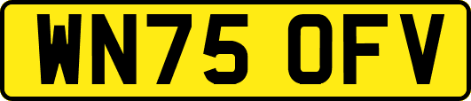 WN75OFV
