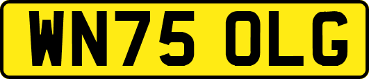 WN75OLG