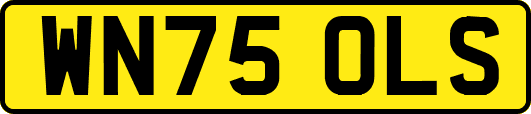 WN75OLS