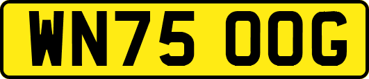 WN75OOG