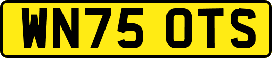 WN75OTS