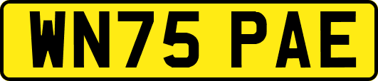 WN75PAE