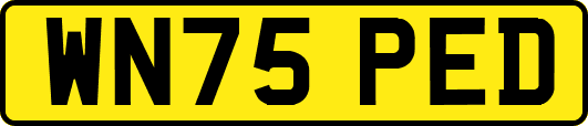 WN75PED