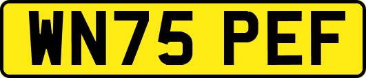 WN75PEF