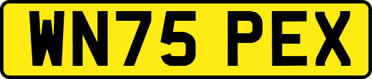 WN75PEX