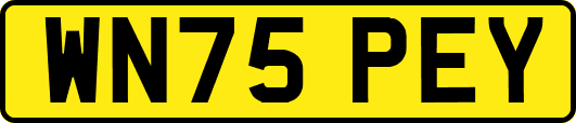 WN75PEY