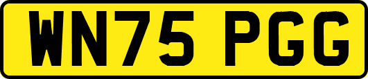 WN75PGG