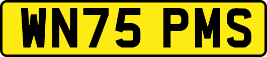 WN75PMS