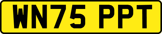 WN75PPT