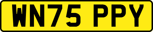 WN75PPY