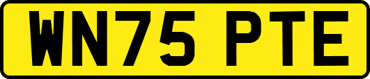 WN75PTE