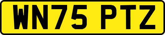 WN75PTZ