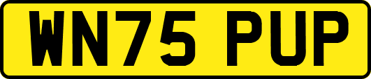 WN75PUP