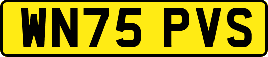 WN75PVS