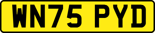 WN75PYD