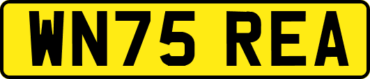WN75REA