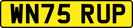 WN75RUP