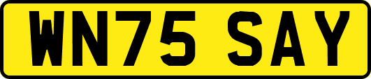 WN75SAY
