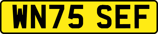 WN75SEF