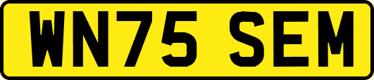 WN75SEM