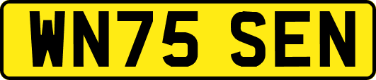 WN75SEN
