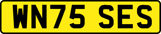 WN75SES