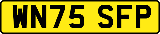 WN75SFP