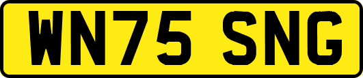 WN75SNG