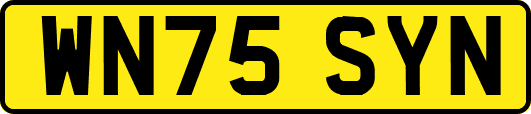 WN75SYN
